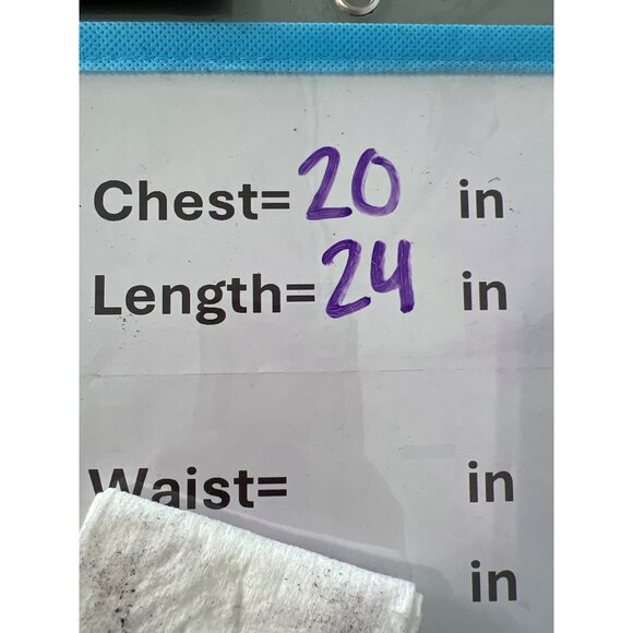 Oxford University Crewneck Sweatshirt Women S Official Merchandise College Retro - Picture 4 of 12